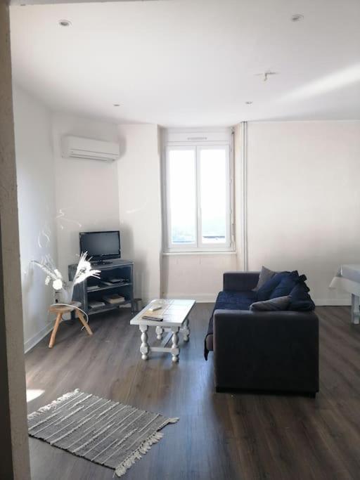 Appartement Au Calme Rodez Exterior photo